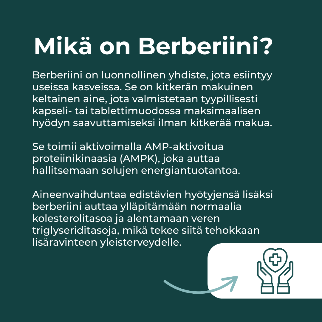 Tuotekuva 3