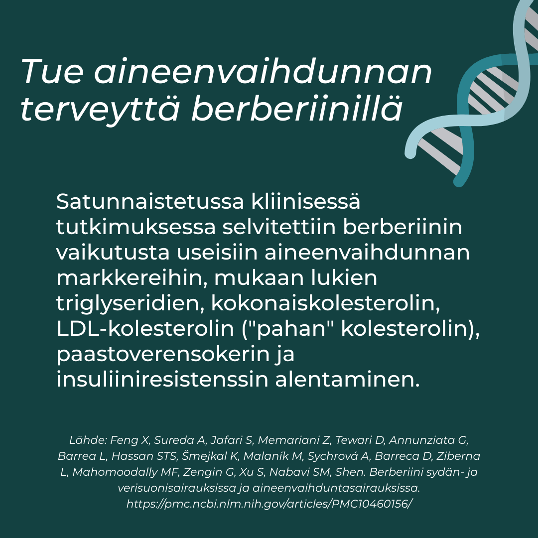 Tuotekuva 4