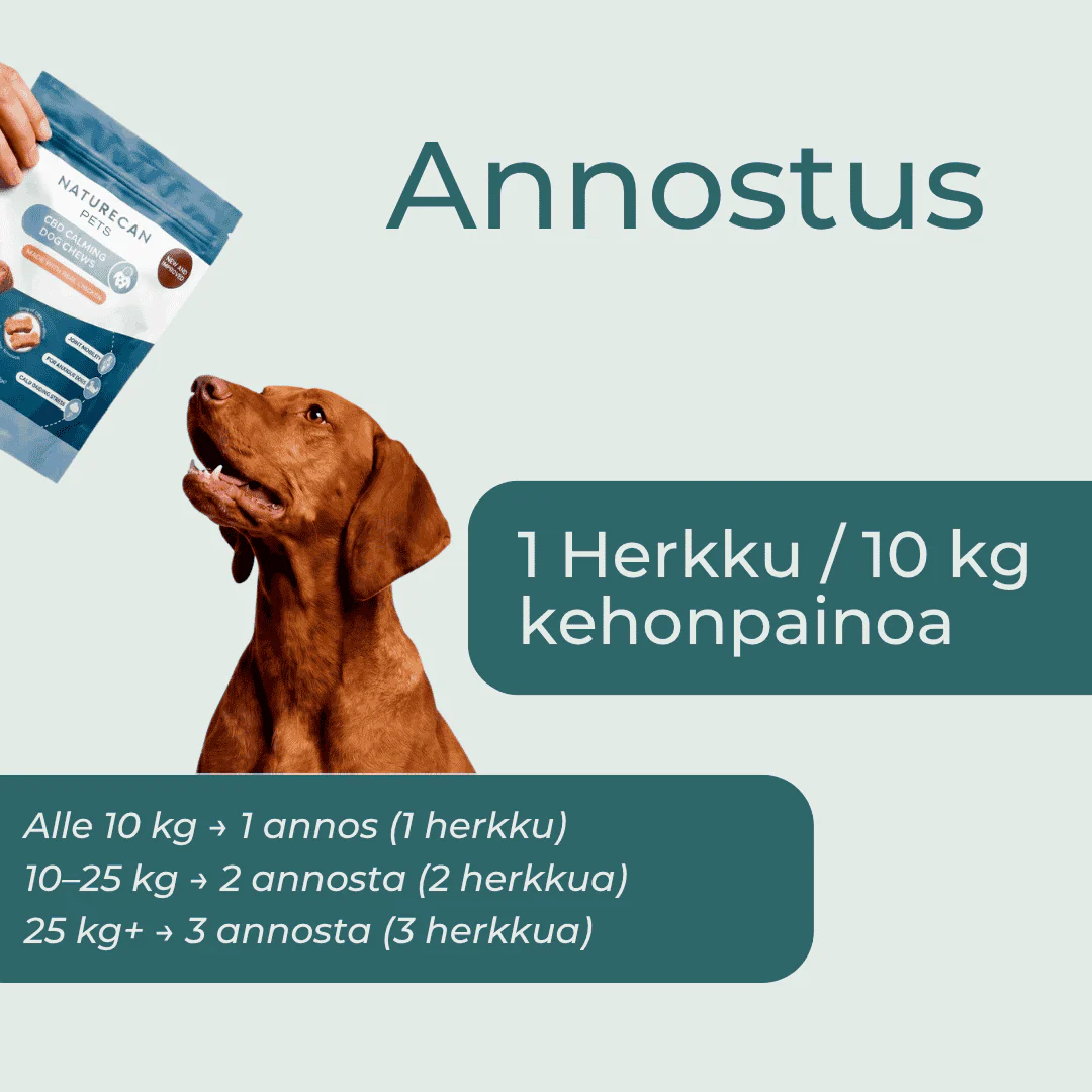 Tuotekuva 4