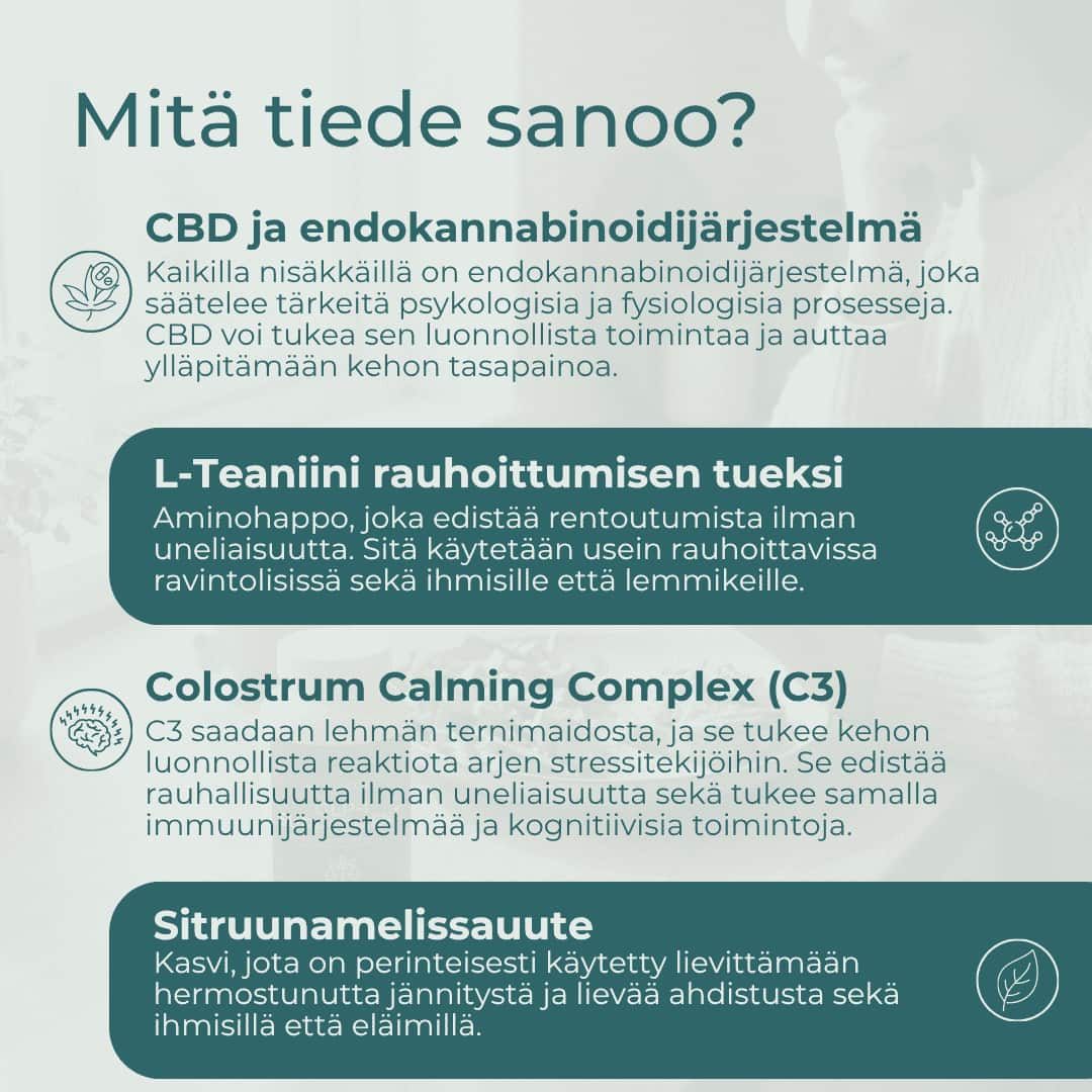 Tuotekuva 6