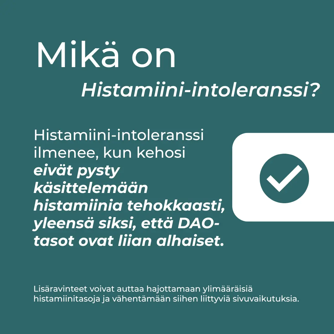 Tuotekuva 6