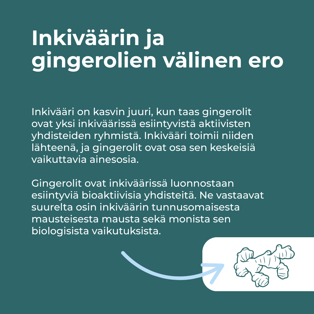 Tuotekuva 6