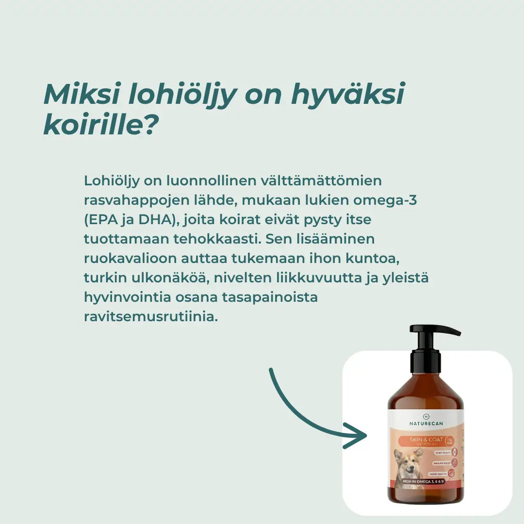 Tuotekuva 3