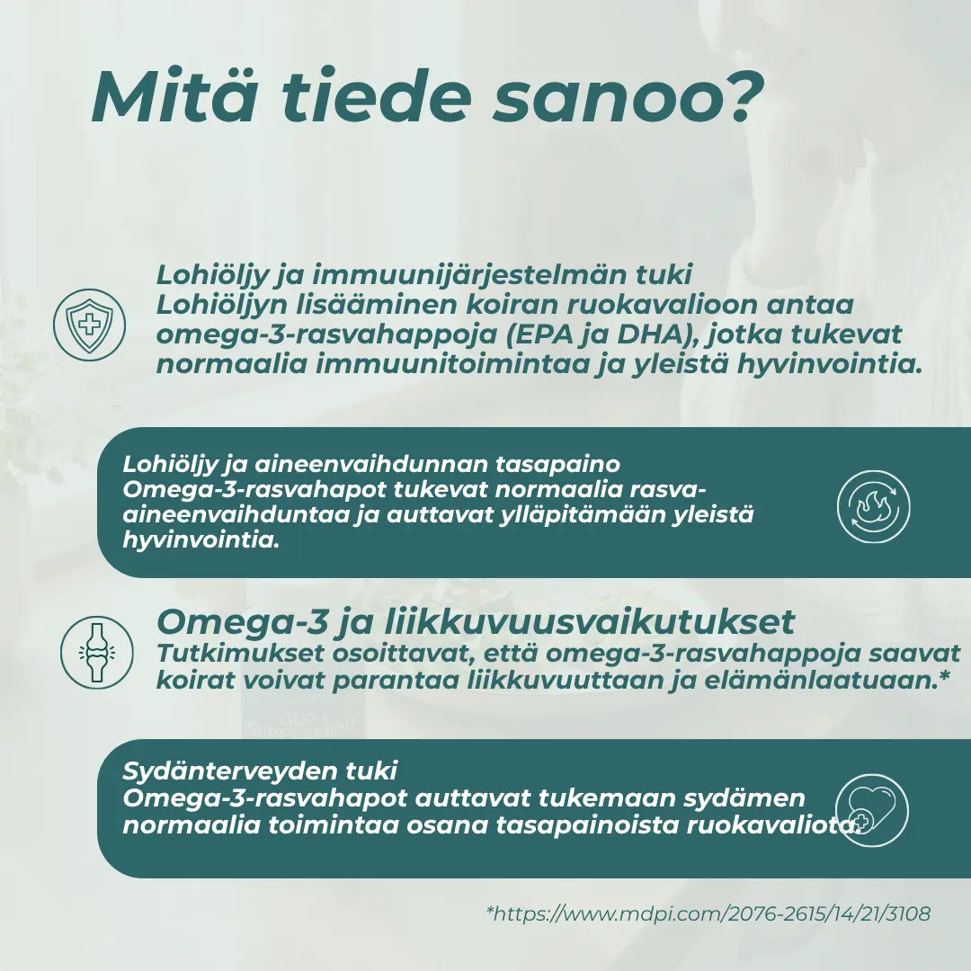 Tuotekuva 4