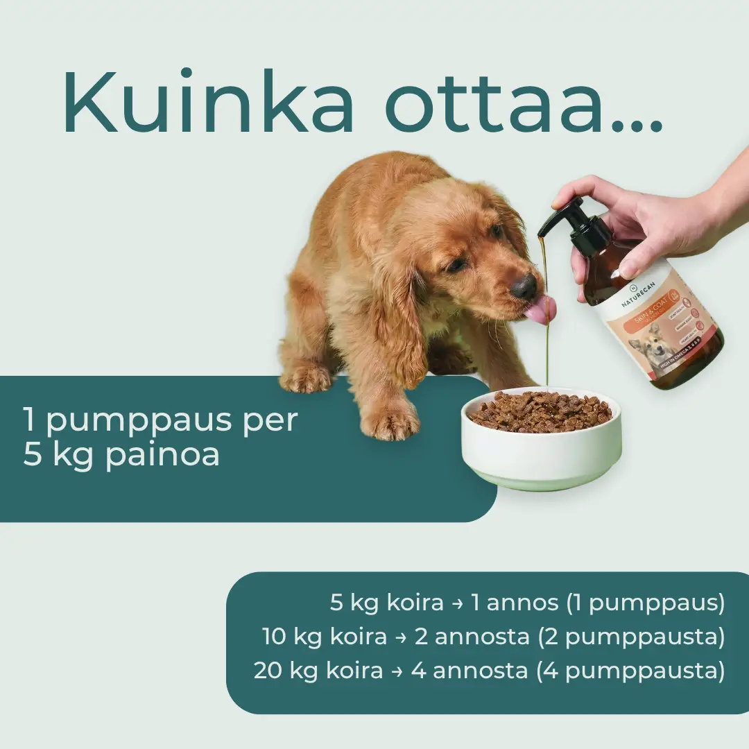 Tuotekuva 5