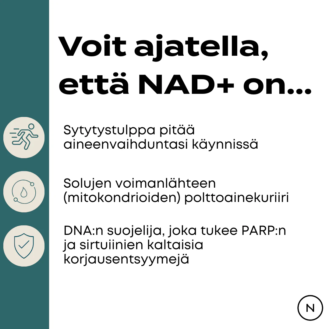 Tuotekuva 4
