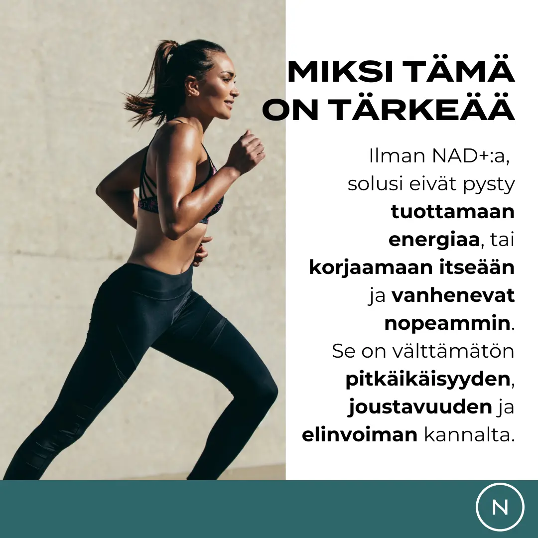 Tuotekuva 5