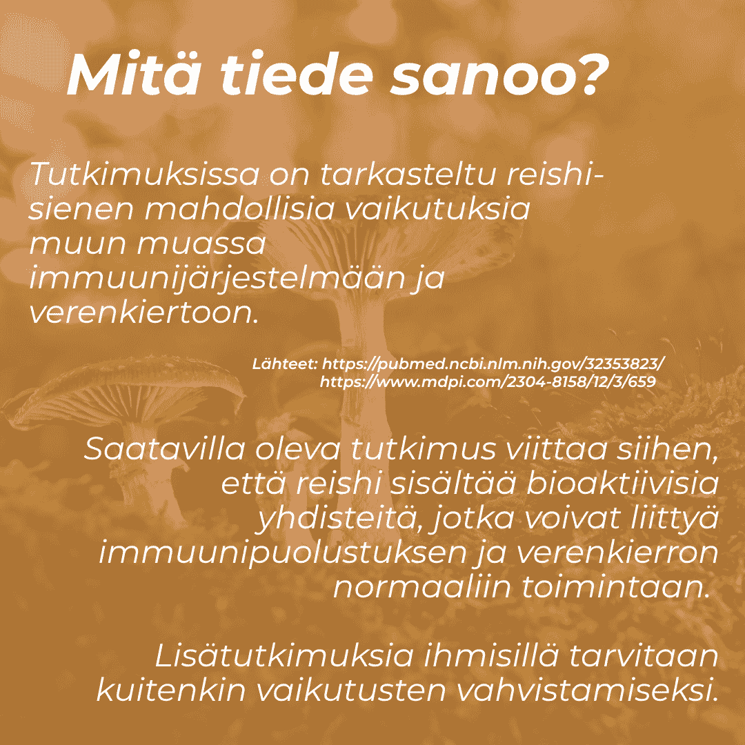 Tuotekuva 6