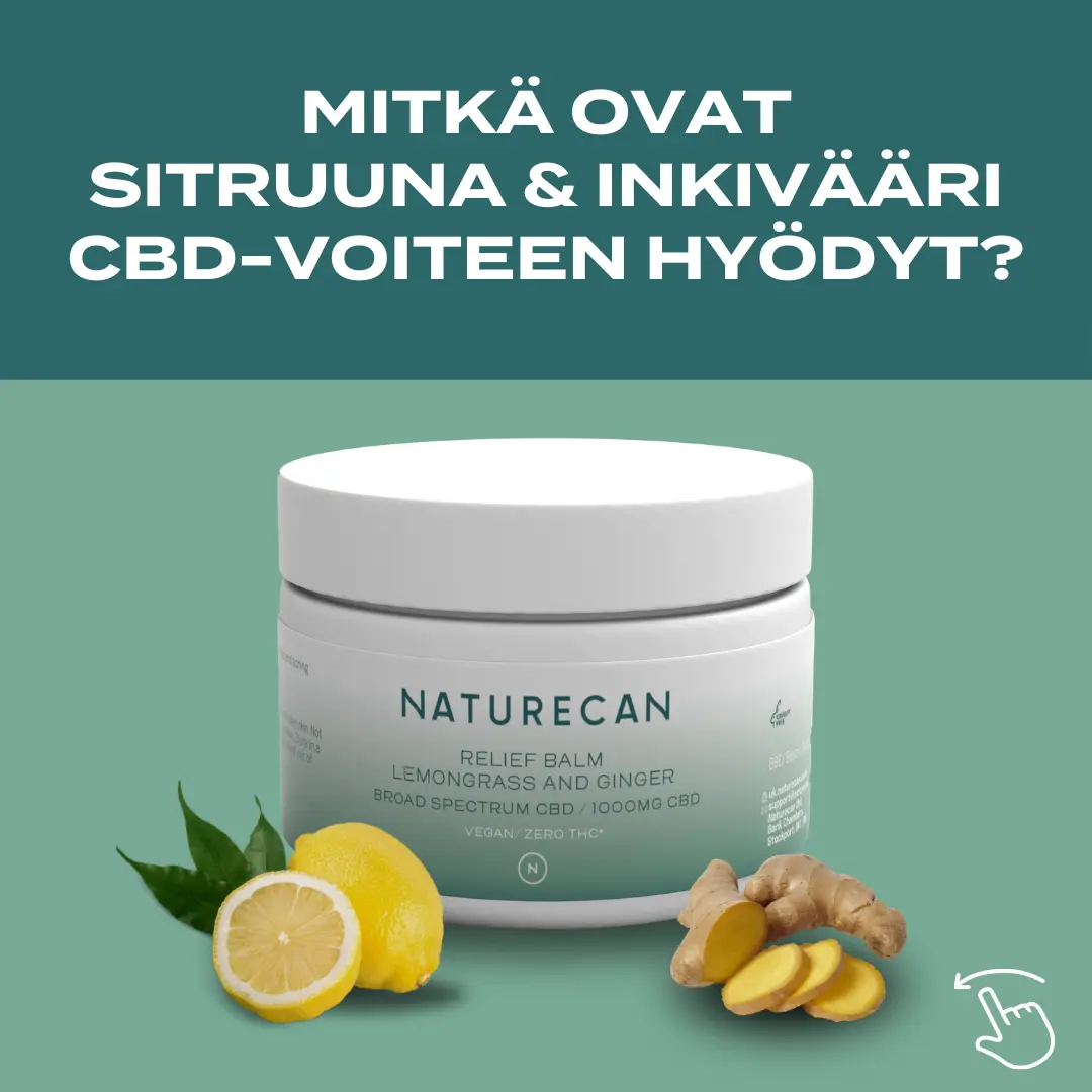 Tuotekuva 2