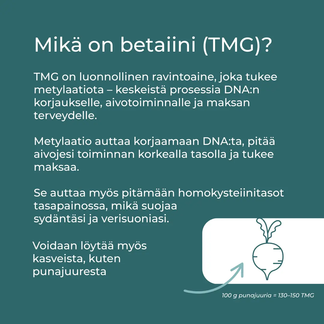 Tuotekuva 7