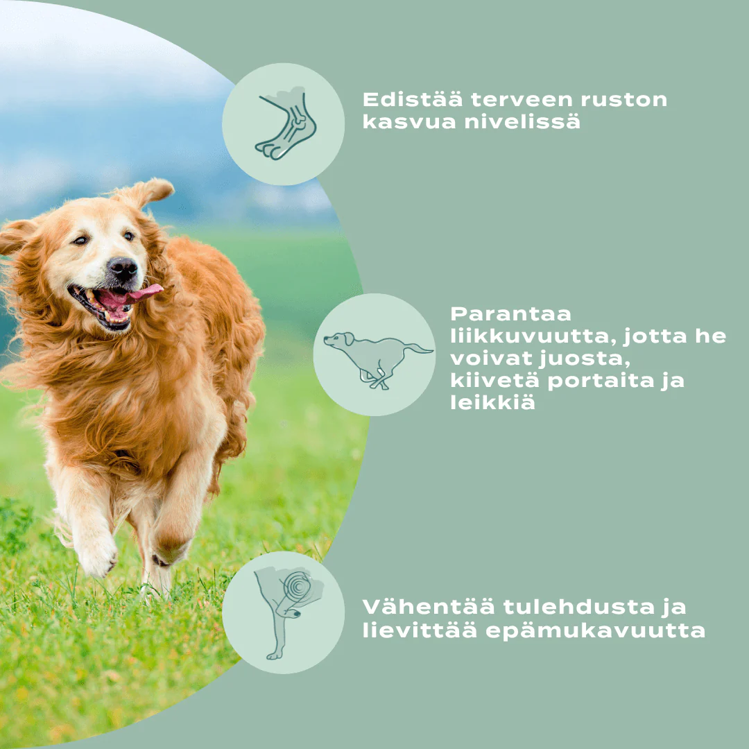 Tuotekuva 10