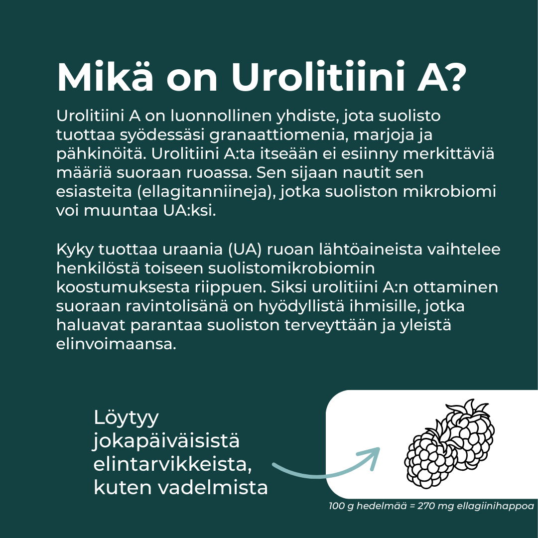 Tuotekuva 4