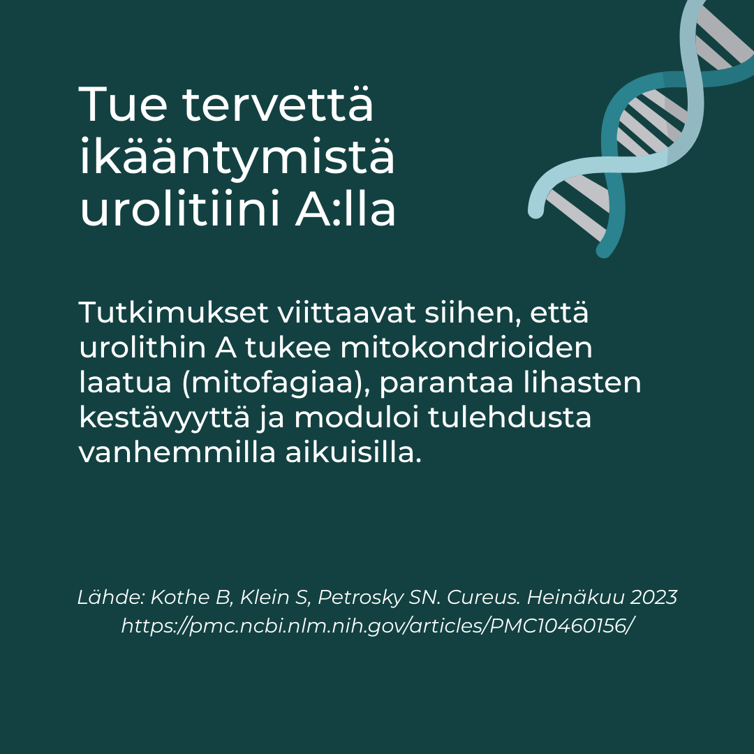 Tuotekuva 5